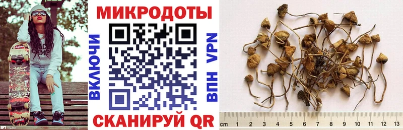 где купить наркотик  Котово  Галлюциногенные грибы GOLDEN TEACHER 